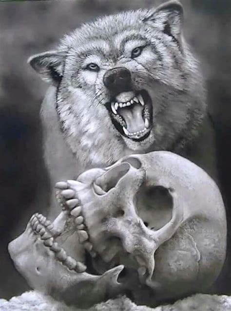 Pin By Kc Krutzfeld On Wolfs Animal Art Skeleton Artwork Wolf Pictures