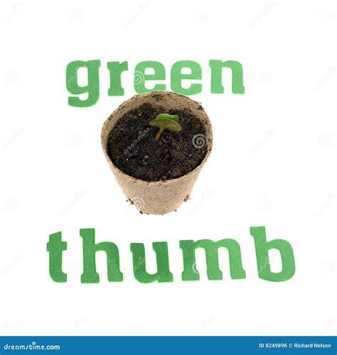 Green Thumb Royalty Free Stock Photography 7470065