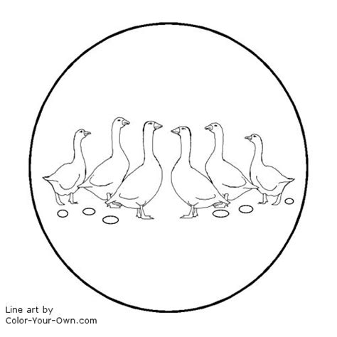 Https://tommynaija.com/draw/how To Draw 6 Geese A Laying