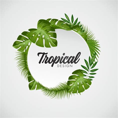 We did not find results for: Free Vector | Tropical leaves background