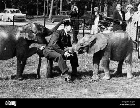Two Baby Elephants Have A Bit Of A Lark With Head Keeper Charles Beiley