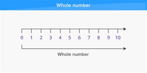 What Are Whole Numbers Definition Facts And Example