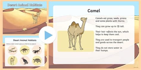 List of 9 ncua definitions. Desert Animal Habitats PowerPoint - animals, desert animals
