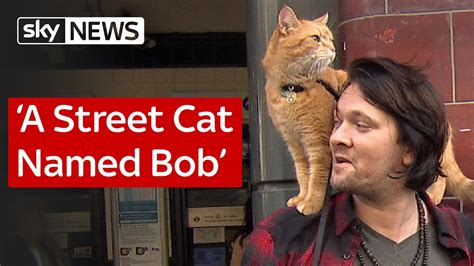 A Street Cat Named Bob Youtube
