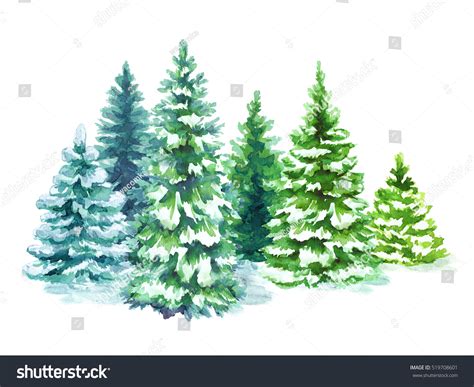 Watercolor Snowy Forest Illustration Christmas Fir Stock Illustration