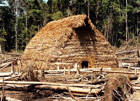Matis Indigenous Peoples In Brazil