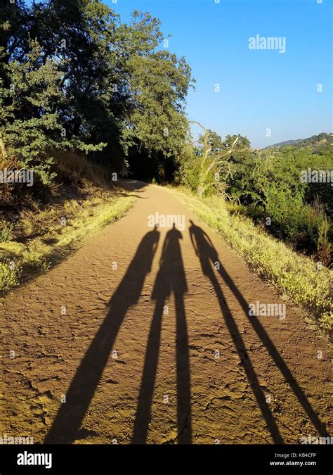 Long Shadows Of Three People On The Dirt Road That Leads Into The Wood