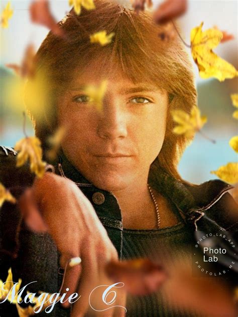 Pin By Maggie On David Cassidy David Cassidy Movie Posters Movies