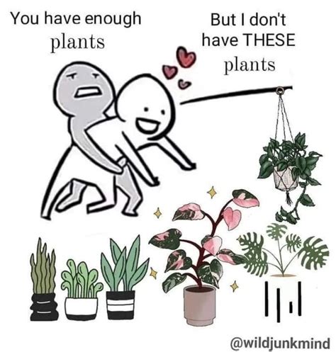 You Have Enough Plants You Have Enough X But I Don T Have These X Know Your Meme