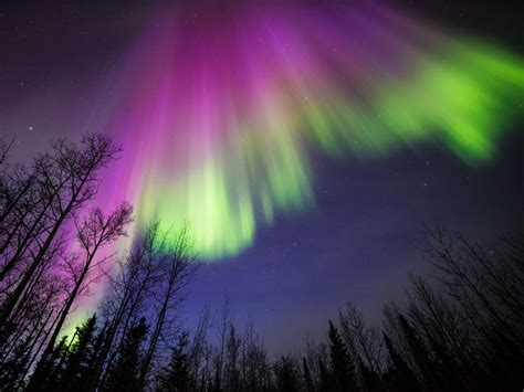 Purple And Green Aurora In Alaska Nasa Northern Lights Aurora