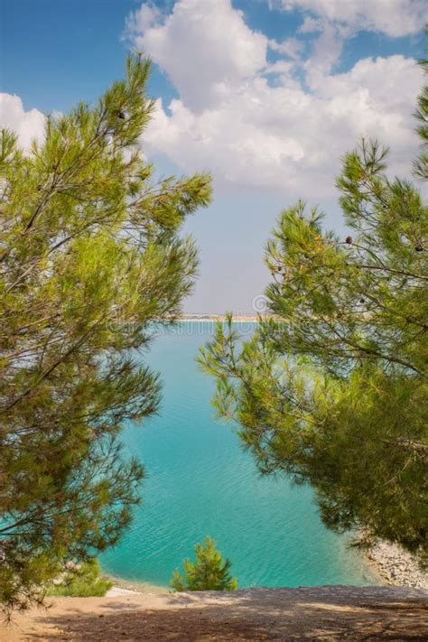 Pine Trees On The Beach Of Blue Water Reservoir Stock Photo Image Of