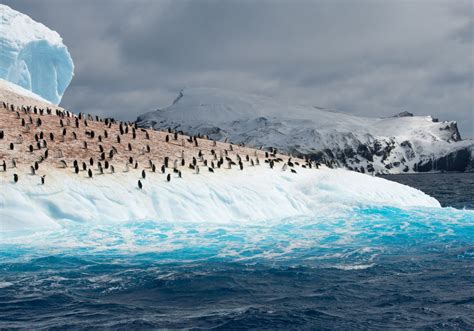 The Best Time To Visit Antarctica Weather And Season Guide