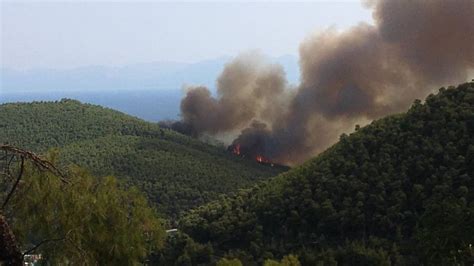 Στη λέσβο είναι τόσο έντονη η μυρωδιά του καπνού που αρκετοί πολίτες νόμισαν ότι υπάρχει φωτιά στο νησί. Φωτιά αναστάτωσε τους κατοίκους του Σέμπρωνα - Flashnews.gr