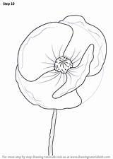 How To Draw A Poppy Flower Images