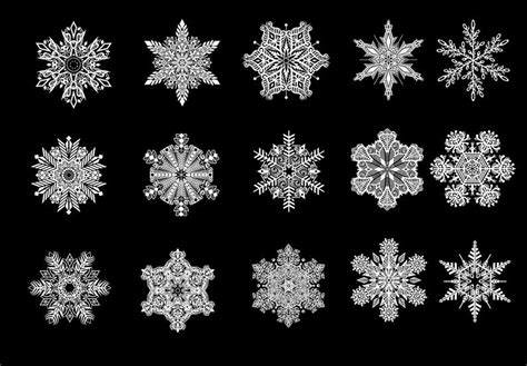 697 best snow free brush downloads from the brusheezy community. Snowfall photoshop brushes 30 .abr files winter clipart ...