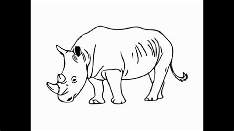 How To Draw Standing White Rhino Pencil Drawing Step By Step Youtube