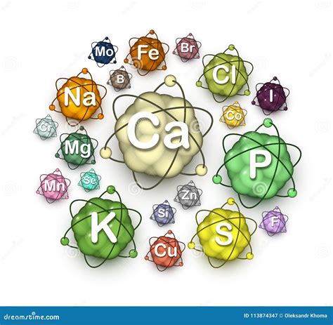 Various Microelements Macroelements And Minerals Stock Vector
