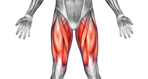 How pain in the upper thigh presents itself depends on the root cause, but most people define the. Front Thigh Pain (Anterior) - Symptoms, Causes, Treatment ...