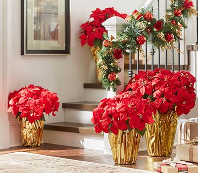 Check out our favorite home depot holiday decorations for your yard, front door, and outdoors for 2018. Indoor Christmas Decorations at The Home Depot