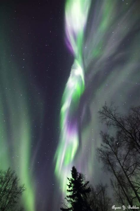 Pin On Aurora Borealis