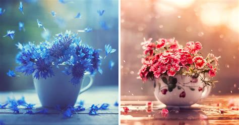 Information and questions for teaching. I Create Whimsical Images Using Flowers | Bored Panda