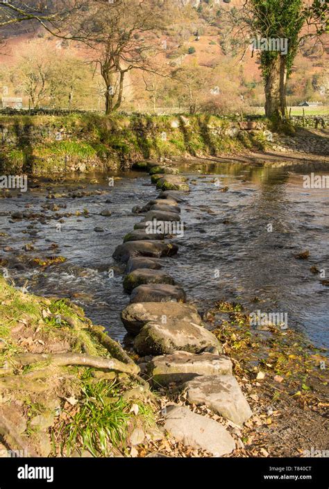 The Stepping Stones Cross A Stream In The Lake District In Cumbriauk A