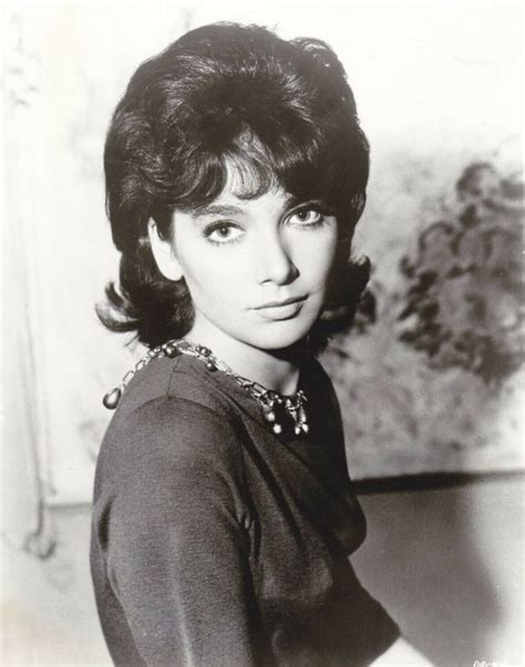 40 glamorous photos of suzanne pleshette in the 1960s ~ vintage everyday