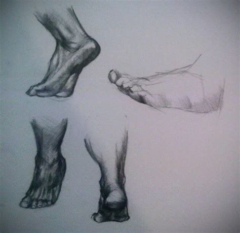 Feet Studies By S Daniels On Deviantart Deviantart Human Body Study