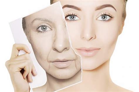 Age Management What Happens To Your Skin As You Get Older Evolve