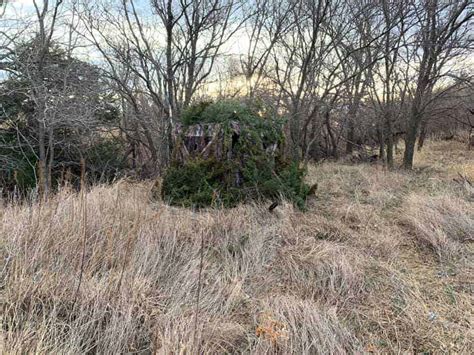 Do You Have To Brush In A Ground Blind Shoot Big Bucks