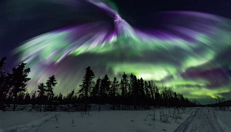 Northern Lights Aurora Webcam And Forecast In Fairbanks Alaska — The