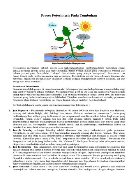 Proses Fotosintesis Pada Tumbuhan Proses Fotosintesis Pada Tumbuhan