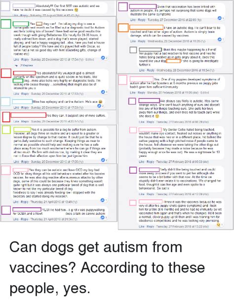 25 Best Memes About Autistic Dog Autistic Dog Memes