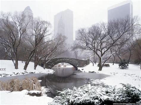 Winter In Central Park New York Wallpapers Top Free Winter In Central