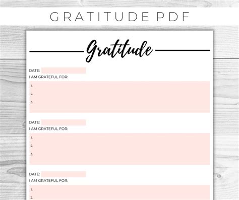 Daily Gratitude Journal Printable Gratitude Journal Pdf Etsy