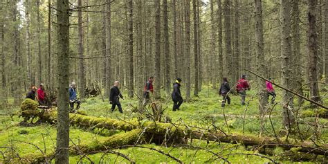 Finnish Forest Association Finnish Forest Association