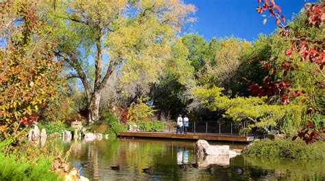 Jardin Botanique Abq Biopark Découvrez Albuquerque Avec Expediafr