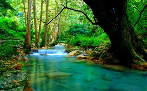 forest-river-wallpapers-wallpaper-cave