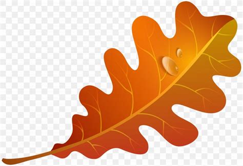 Autumn Leaf Color Orange Clip Art Png 5000x3439px Leaf Autumn
