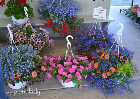 Colorful Flower Container Ideas Birds And Blooms