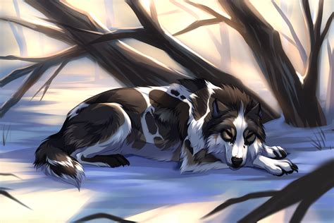 Share the best gifs now >>>. Wolf Rp - New Ocs | Anime wolf, Wolf character, Anime animals