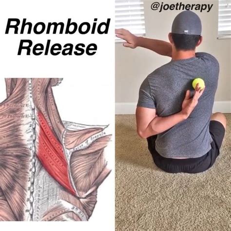 Incredible How To Release A Pinched Nerve In Shoulder Blade 2022