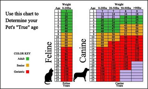As with humans, feline vision worsens over time. Dog and cat age chart | Cat years, Pets, Cat age chart
