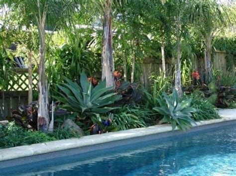 40beautiful Plants Grow Beside Swimming Pool Ideas With Images