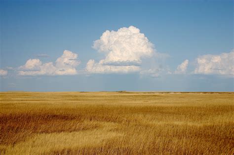 Filecumulus Clouds Over Yellow Prairie2 Wikimedia Commons