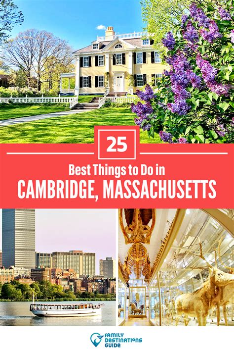 25 Best Things To Do In Cambridge Ma For 2023