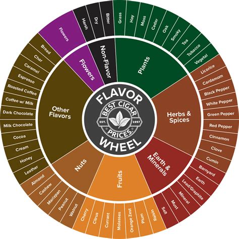 Cigar 101 How To Taste A Cigar And Flavor Wheel Infographics