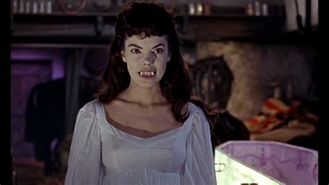 The Midnight Room Vampire Season The Brides Of Dracula 1960