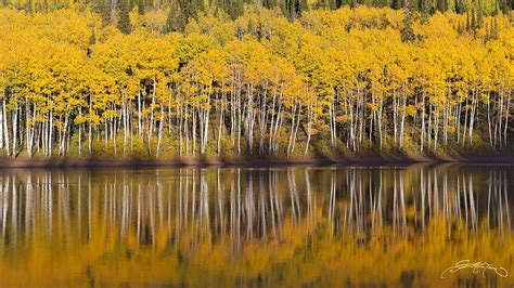 Wasatch Reflection Dustin Lefevre Flickr