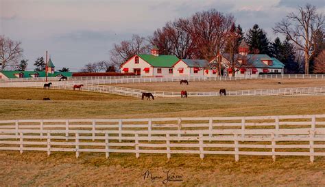 Luxury North American Horse Farm Properties For Sale